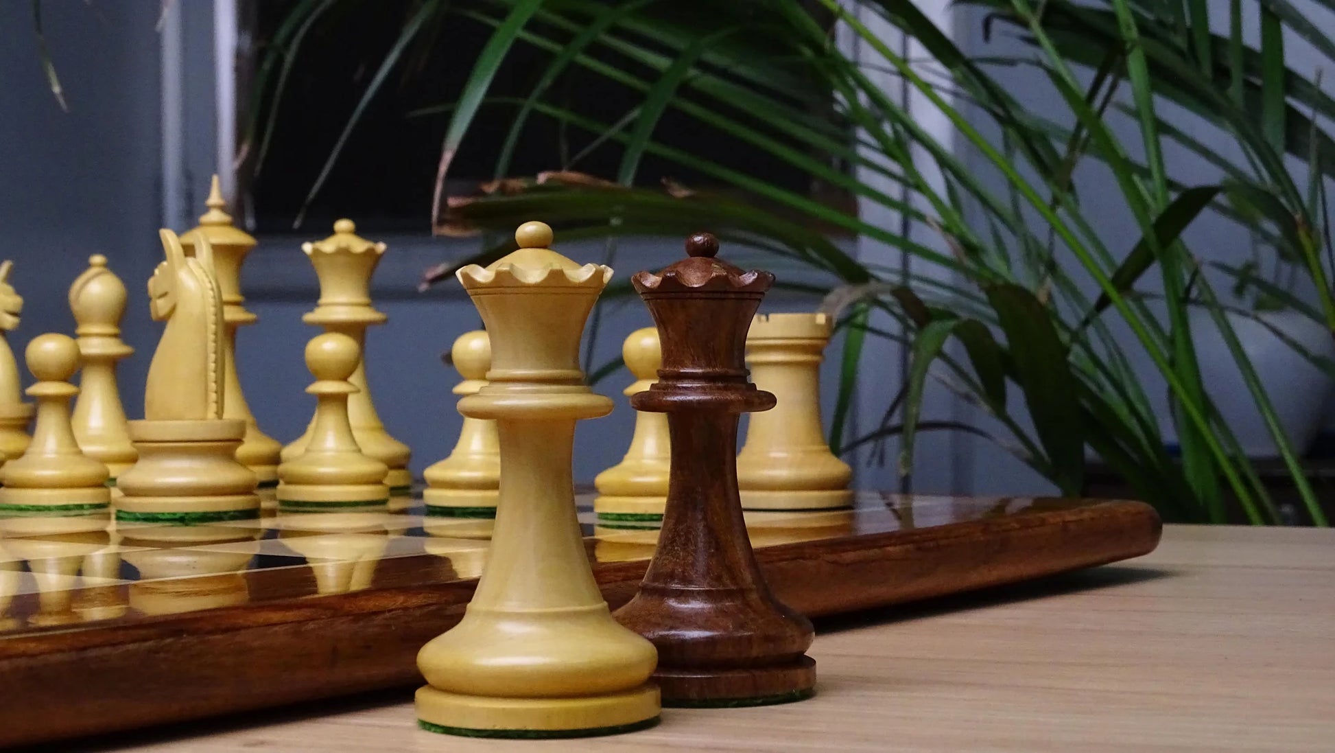 American Chess Company Chess Pieces 1904 Replica - Best Sheesham & Boxwood Set for Chess Collectors - Chessetup Store