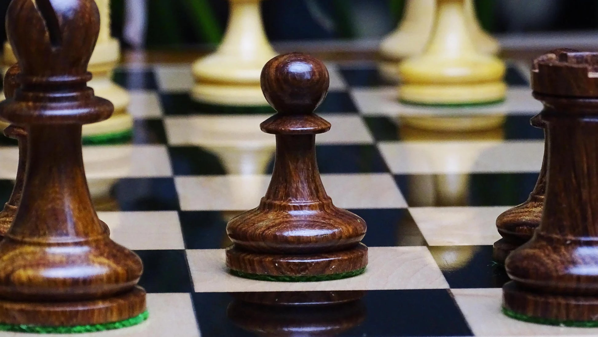 Handcrafted Wooden Chess Pieces in Sheesham & Boxwood - Collectible Chess Set for Enthusiasts - Chessetup Store