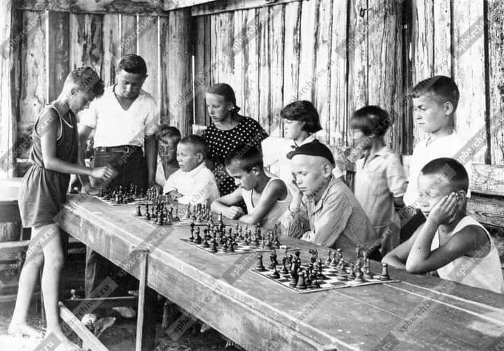 Ebonized Boxwood & Natural Boxwood Soviet chess pieces from the 1930s Leningrad Schoolboy chess set – Chessetup Store